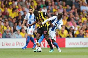 Premier League Showdown: Watford vs. Brighton & Hove Albion at Vicarage Road (11AUG18)