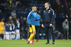 Premier League Showdown: West Bromwich Albion vs. Brighton and Hove Albion at The Hawthorns (13Jan18)