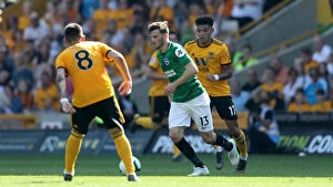 Wolverhampton Wanderers 20APR19 Collection: Premier League Showdown: Wolverhampton Wanderers vs. Brighton and Hove Albion (20APR19)
