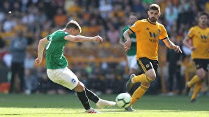 Wolverhampton Wanderers 20APR19 Collection: Premier League Showdown: Wolverhampton Wanderers vs. Brighton and Hove Albion at Stamford Bridge
