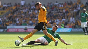 Wolverhampton Wanderers 20APR19 Collection: Premier League Showdown: Wolverhampton Wanderers vs. Brighton and Hove Albion at Stamford Bridge