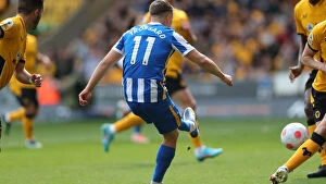 Images Dated 30th April 2022: Premier League Showdown: Wolverhampton Wanderers vs. Brighton and Hove Albion at Molineux Stadium