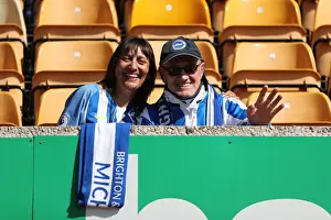 Premier League Showdown: Wolverhampton Wanderers vs. Brighton and Hove Albion at Molineux Stadium (20APR19)