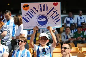 Premier League Showdown: Wolverhampton Wanderers vs. Brighton and Hove Albion at Molineux Stadium (20APR19)