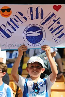 Premier League Showdown: Wolverhampton Wanderers vs. Brighton and Hove Albion at Molineux Stadium (20APR19)