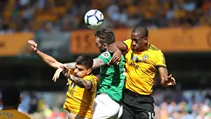 Premier League Showdown: Wolverhampton Wanderers vs. Brighton and Hove Albion at Molineux Stadium (20APR19)