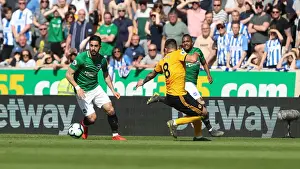 Premier League Showdown: Wolverhampton Wanderers vs. Brighton and Hove Albion at Molineux Stadium (20APR19)