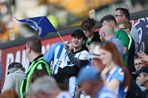 Premier League Showdown: Wolverhampton Wanderers vs. Brighton and Hove Albion at Molineux Stadium (20APR19)