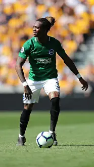 Premier League Showdown: Wolverhampton Wanderers vs. Brighton and Hove Albion at Molineux Stadium (20APR19)