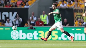 Premier League Showdown: Wolverhampton Wanderers vs. Brighton and Hove Albion at Molineux Stadium (20APR19)