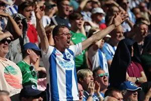 Premier League Showdown: Wolverhampton Wanderers vs. Brighton and Hove Albion at Molineux Stadium (20APR19)