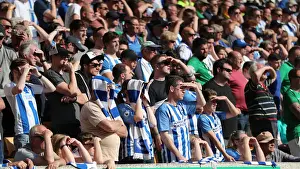 Premier League Showdown: Wolverhampton Wanderers vs. Brighton and Hove Albion at Molineux Stadium (20APR19)