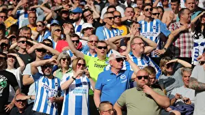 Premier League Showdown: Wolverhampton Wanderers vs. Brighton and Hove Albion at Molineux Stadium (20APR19)
