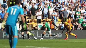 Premier League Showdown: Wolverhampton Wanderers vs. Brighton and Hove Albion at Molineux Stadium (20APR19)