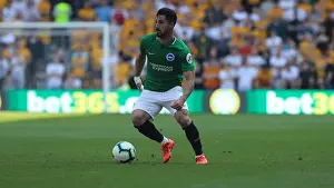 Premier League Showdown: Wolverhampton Wanderers vs. Brighton and Hove Albion at Molineux Stadium (20APR19)