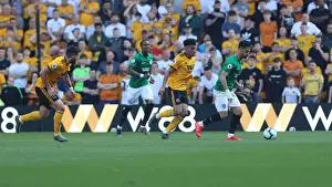 Premier League Showdown: Wolverhampton Wanderers vs. Brighton and Hove Albion at Molineux Stadium (20APR19)