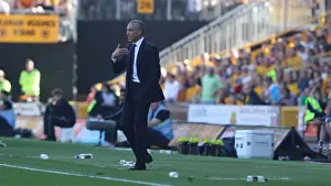 Premier League Showdown: Wolverhampton Wanderers vs. Brighton and Hove Albion at Molineux Stadium (20APR19)
