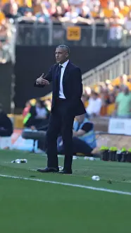 Premier League Showdown: Wolverhampton Wanderers vs. Brighton and Hove Albion at Molineux Stadium (20APR19)