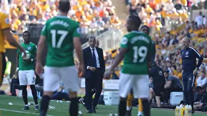 Premier League Showdown: Wolverhampton Wanderers vs. Brighton and Hove Albion at Molineux Stadium (20APR19)