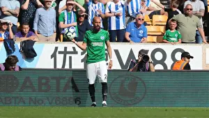 Premier League Showdown: Wolverhampton Wanderers vs. Brighton and Hove Albion at Molineux Stadium (20APR19)