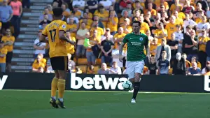 Premier League Showdown: Wolverhampton Wanderers vs. Brighton and Hove Albion at Molineux Stadium (20APR19)