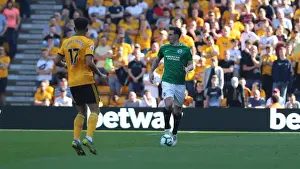 Premier League Showdown: Wolverhampton Wanderers vs. Brighton and Hove Albion at Molineux Stadium (20APR19)