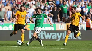 Premier League Showdown: Wolverhampton Wanderers vs. Brighton and Hove Albion at Molineux Stadium (20APR19)