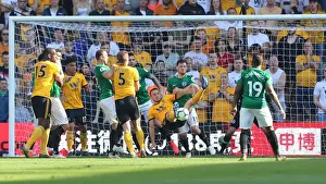Premier League Showdown: Wolverhampton Wanderers vs. Brighton and Hove Albion at Molineux Stadium (20APR19)