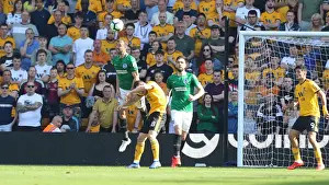 Premier League Showdown: Wolverhampton Wanderers vs. Brighton and Hove Albion at Molineux Stadium (20APR19)