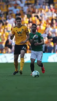 Premier League Showdown: Wolverhampton Wanderers vs. Brighton and Hove Albion at Molineux Stadium (20APR19)
