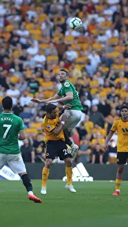 Premier League Showdown: Wolverhampton Wanderers vs. Brighton and Hove Albion at Molineux Stadium (20APR19)