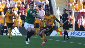 Premier League Showdown: Wolverhampton Wanderers vs. Brighton and Hove Albion at Molineux Stadium (20APR19)