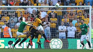 Premier League Showdown: Wolverhampton Wanderers vs. Brighton and Hove Albion at Molineux Stadium (20APR19)
