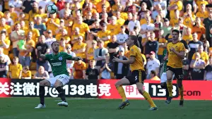 Premier League Showdown: Wolverhampton Wanderers vs. Brighton and Hove Albion at Molineux Stadium (20APR19)
