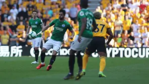 Premier League Showdown: Wolverhampton Wanderers vs. Brighton and Hove Albion at Molineux Stadium (20APR19)