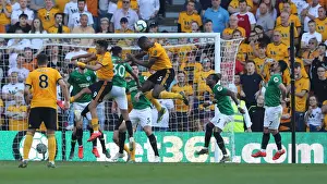 Premier League Showdown: Wolverhampton Wanderers vs. Brighton and Hove Albion at Molineux Stadium (20APR19)