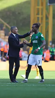 Premier League Showdown: Wolverhampton Wanderers vs. Brighton and Hove Albion at Molineux Stadium (20APR19)