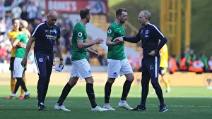 Premier League Showdown: Wolverhampton Wanderers vs. Brighton and Hove Albion at Molineux Stadium (20APR19)