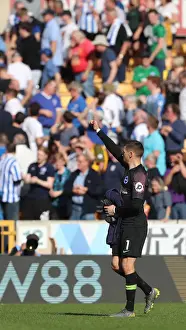 Premier League Showdown: Wolverhampton Wanderers vs. Brighton and Hove Albion at Molineux Stadium (20APR19)