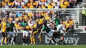Premier League Showdown: Wolverhampton Wanderers vs. Brighton and Hove Albion at Stamford Bridge (20APR19)