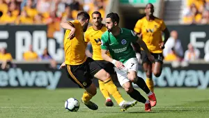 Premier League Showdown: Wolverhampton Wanderers vs. Brighton and Hove Albion (20APR19)
