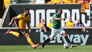 Premier League Showdown: Wolverhampton Wanderers vs. Brighton and Hove Albion (20APR19)