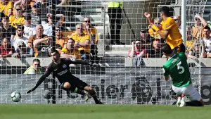 Premier League Showdown: Wolverhampton Wanderers vs. Brighton & Hove Albion at Stamford Bridge (20APR19)