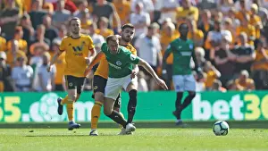 Premier League Showdown: Wolverhampton Wanderers vs. Brighton & Hove Albion at Stamford Bridge (20APR19)