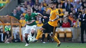 Premier League Showdown: Wolverhampton Wanderers vs. Brighton and Hove Albion at Stamford Bridge (20APR19)