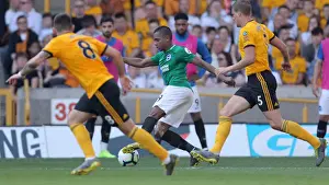Premier League Showdown: Wolverhampton Wanderers vs. Brighton and Hove Albion at Stamford Bridge (20APR19)
