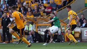 Premier League Showdown: Wolverhampton Wanderers vs. Brighton and Hove Albion at Stamford Bridge (20APR19)