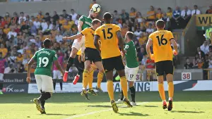 Premier League Showdown: Wolverhampton Wanderers vs. Brighton and Hove Albion at Stamford Bridge (20APR19)