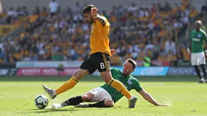 Premier League Showdown: Wolverhampton Wanderers vs. Brighton and Hove Albion at Stamford Bridge (20APR19)