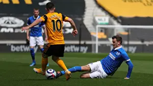 Premier League Showdown: Wolverhampton Wanderers vs. Brighton and Hove Albion at Molineux Stadium (May 9, 2021)